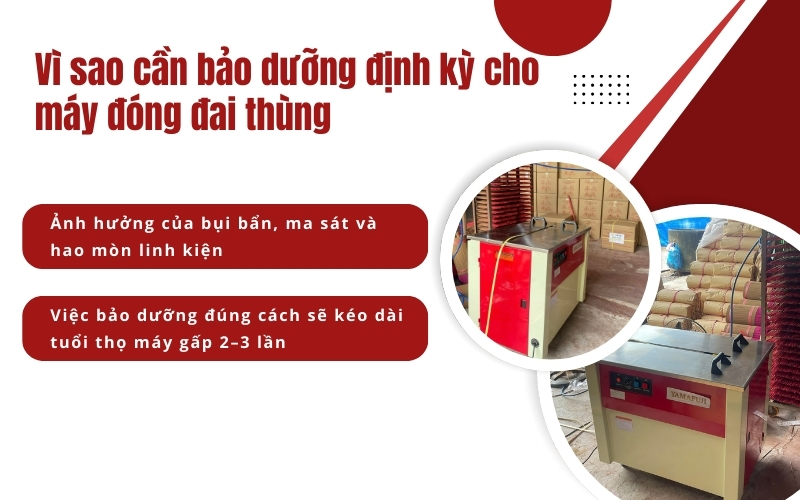 Vì sao cần bảo dưỡng định kỳ cho máy đóng đai thùng?