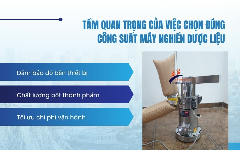 Tầm quan trọng của việc chọn đúng công suất máy nghiền dược liệu