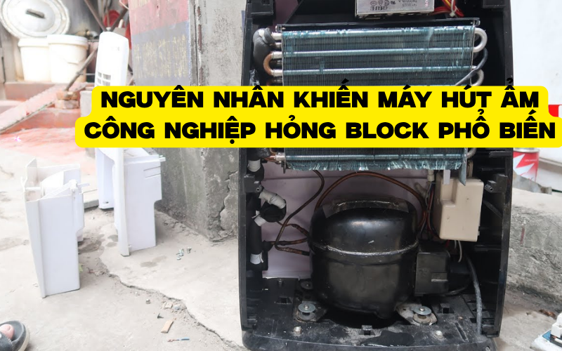 Nguyên nhân khiến máy hút ẩm công nghiệp hỏng block phổ biến