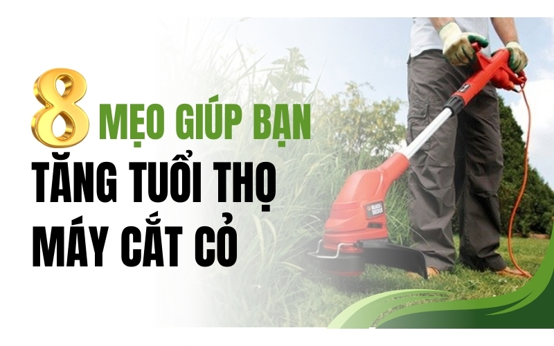 8 mẹo giúp bạn tăng tuổi thọ máy cắt cỏ