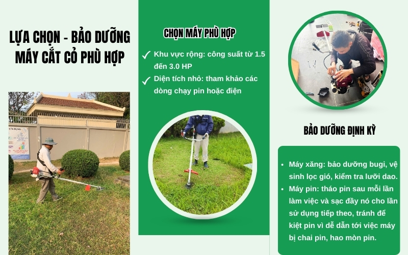 Lựa chọn và bảo dưỡng máy cắt cỏ phù hợp