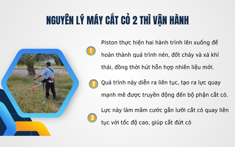 Nguyên lý máy cắt cỏ 2 thì vận hành