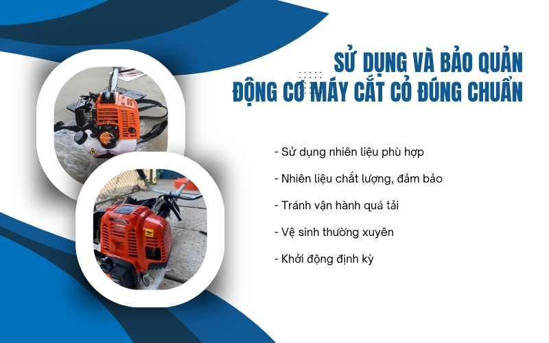Sử dụng và bảo quản động cơ máy cắt cỏ đúng chuẩn
