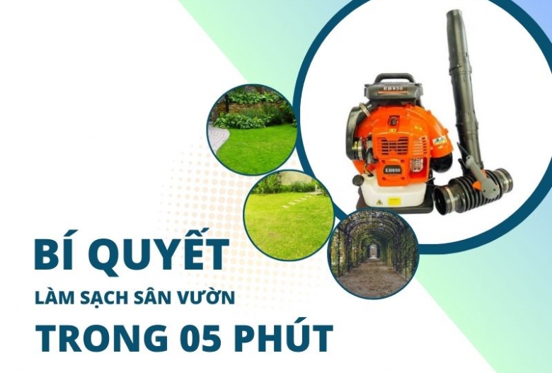 Bí quyết làm sạch sân vườn trong vòng 5 phút!