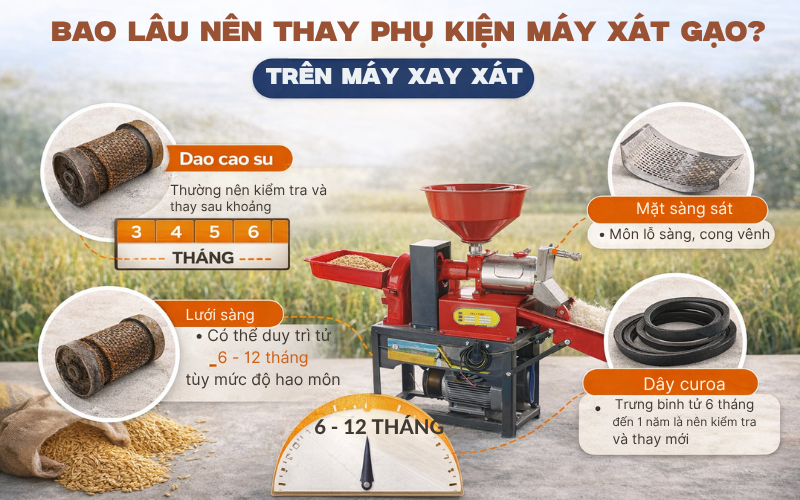 Bao lâu nên thay phụ kiện máy xát gạo?