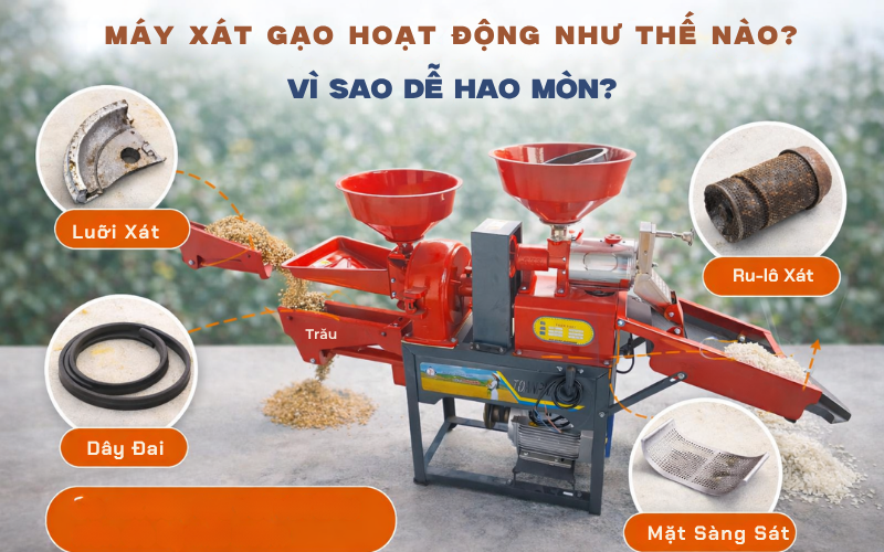 Máy xát gạo hoạt động như thế nào? Vì sao dễ hao mòn?