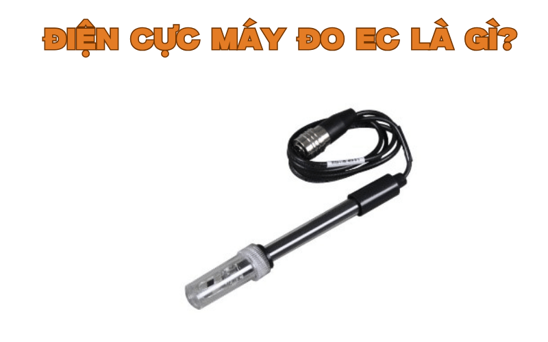 Điện cực máy đo EC là gì?