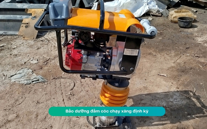 Bảo dưỡng đầm cóc chạy xăng định kỳ