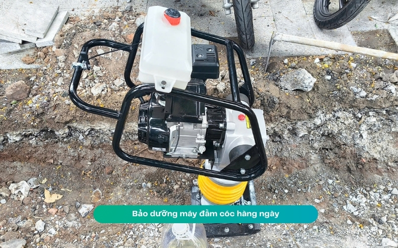 Quy trình bảo dưỡng kéo dài tuổi thọ đầm cóc chạy xăng